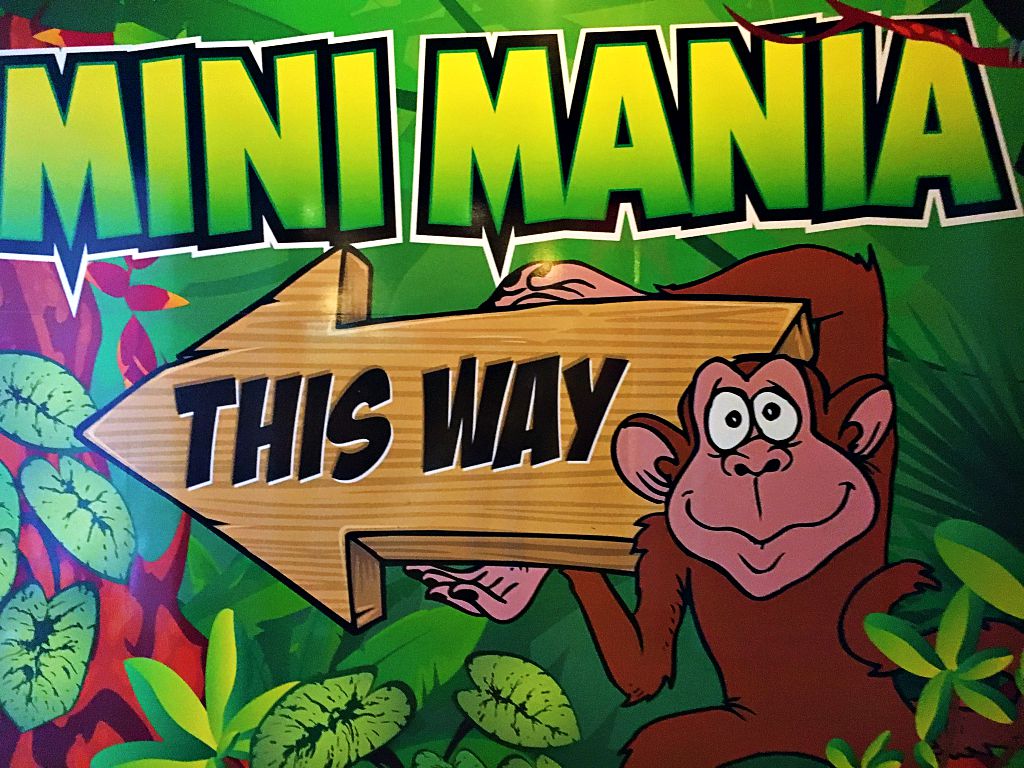 The Everything Guide to Mini Mania
