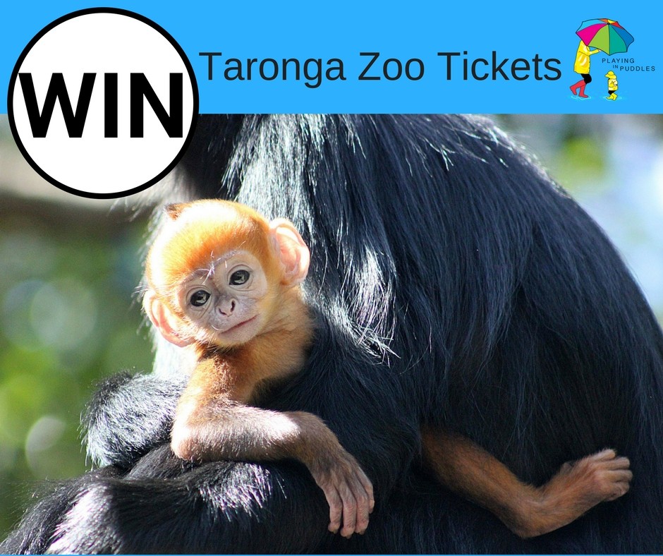 WINNER of 2 Family Passes to Taronga Zoo this Christmas