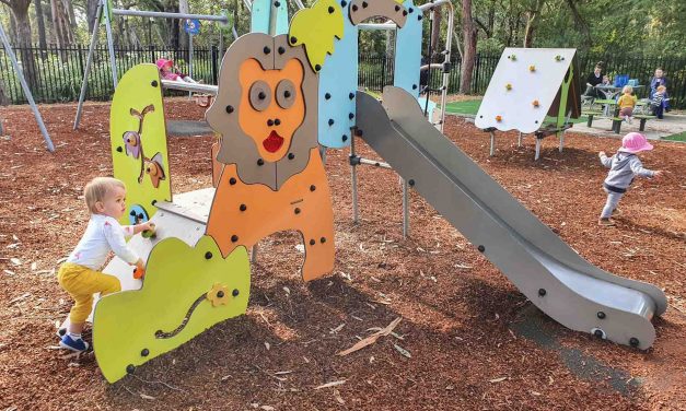 Bateau Bay Community Hall Playground is Just Perfect for the Under 5s!