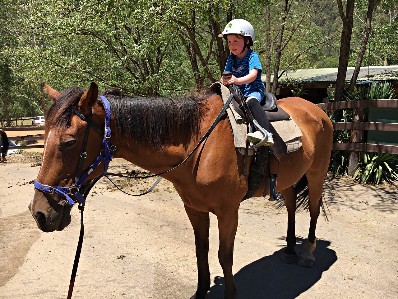 Kids lead pony ride at Glenworth Valley