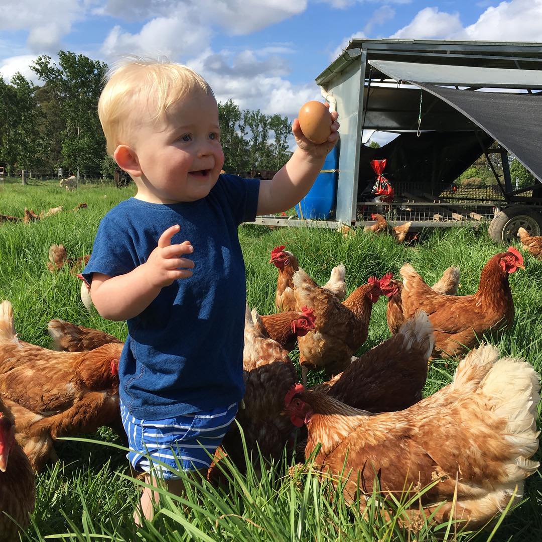 The Food Farm, Wyong Creek egg collecting Playing in Puddles