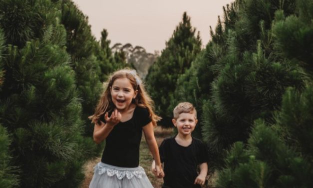 Where to Buy a Real Christmas Tree on the Central Coast