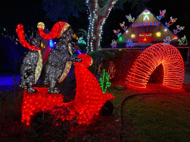 Hunter Valley Gardens Christmas Lights Playing in Puddles