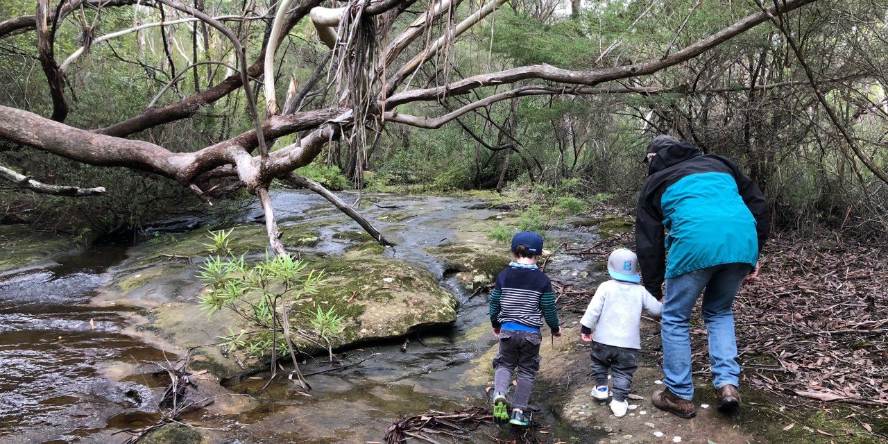 Outdoor Fun without the crowds – bushwalks, gardens, rockpools and more