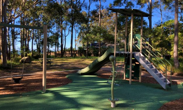 We’ve Discovered a Quiet, Tree-covered Playground in Glenning Valley