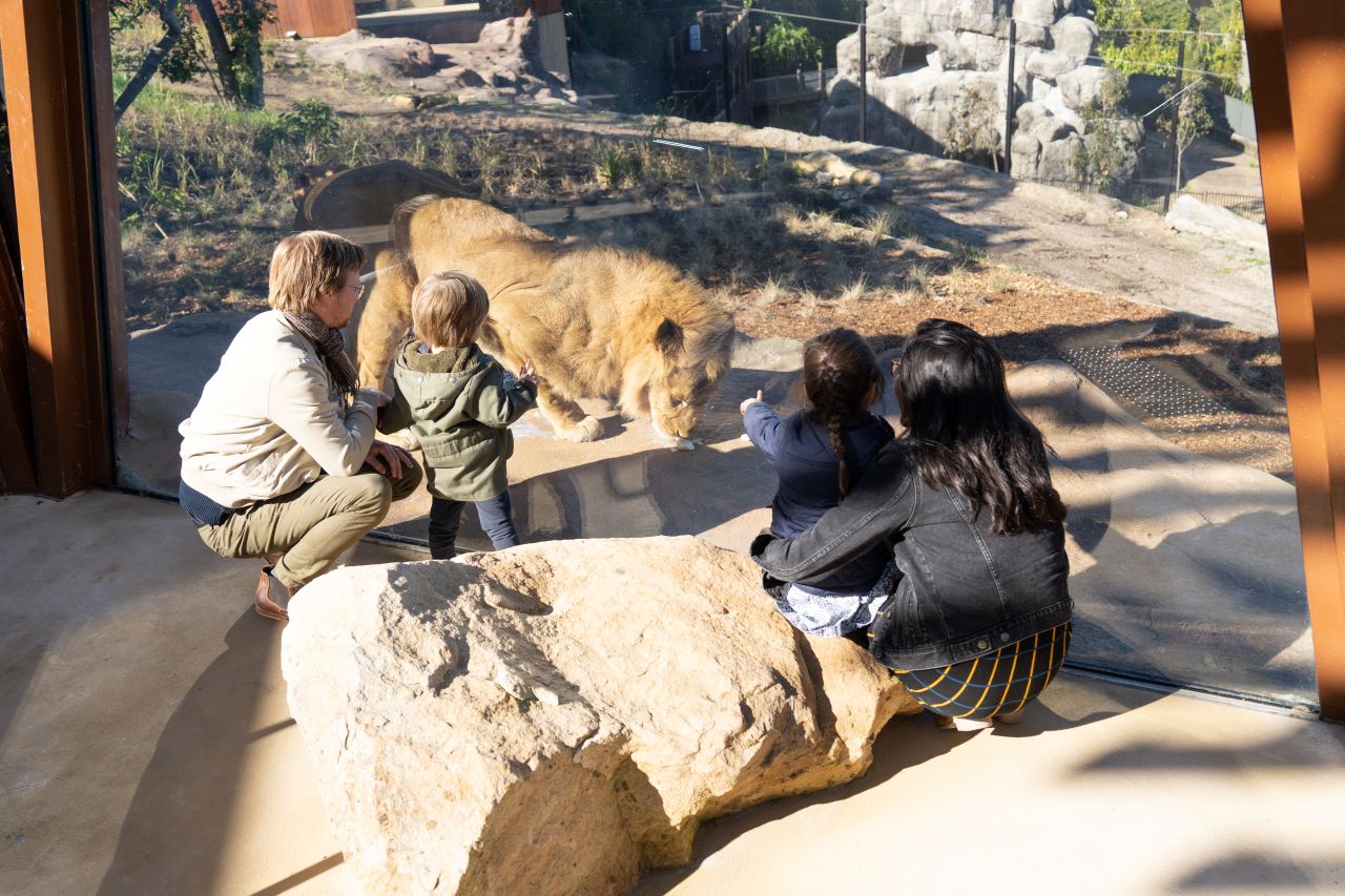 Taronga Zoo