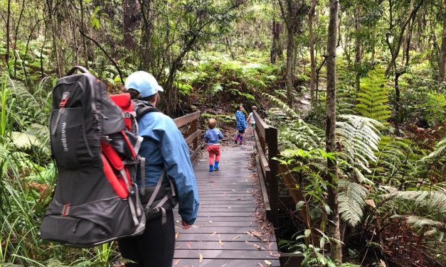 Top 10 FREE Kids Activities on the Central Coast (+10 under $10)