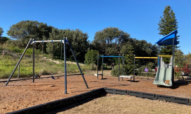 Pop in for a post-bushwalk play at Simpson Street Playground, The Entrance North
