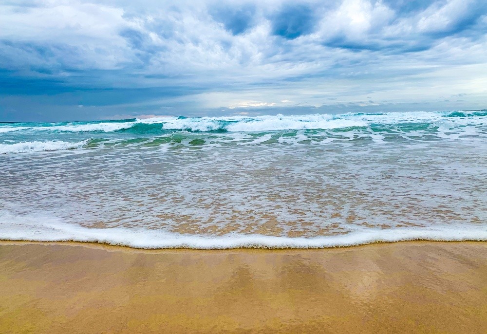 Moonee Beach Trail Bushwalk, Central Coast - Playing in Puddles