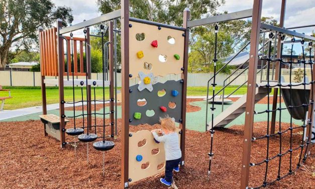 This New Park in Halekulani has an Accessible Swing and Lots of Open Space