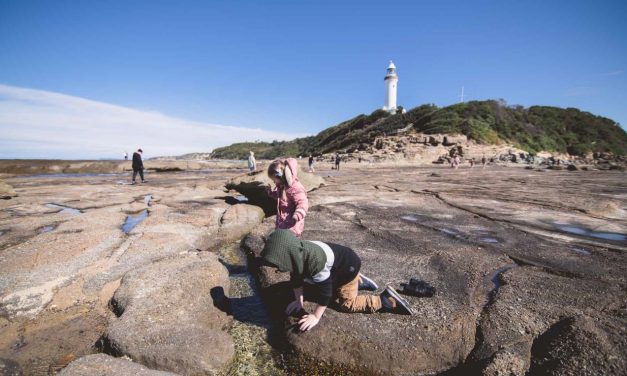A Visit to the Norah Head Lighthouse Reserve and Rock Shelf is a Fantastic Family Day Out