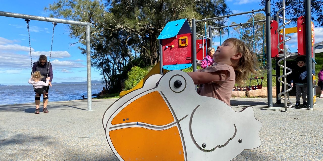 A Playground for Toddlers – Tuesday Street Park in Tuggerawong