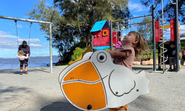 A Playground for Toddlers – Tuesday Street Park in Tuggerawong