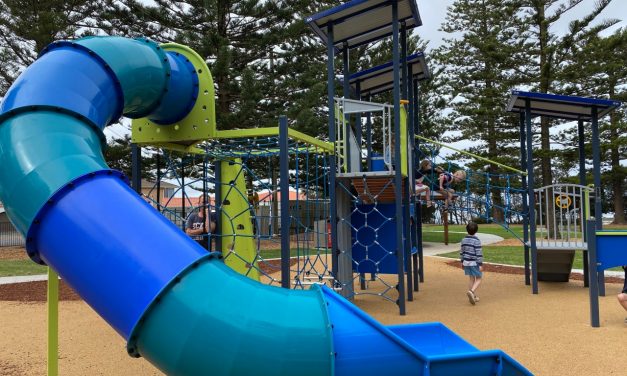 Swadling Reserve Park at Toowoon Bay has fab play equipment and it’s perfect for a party!