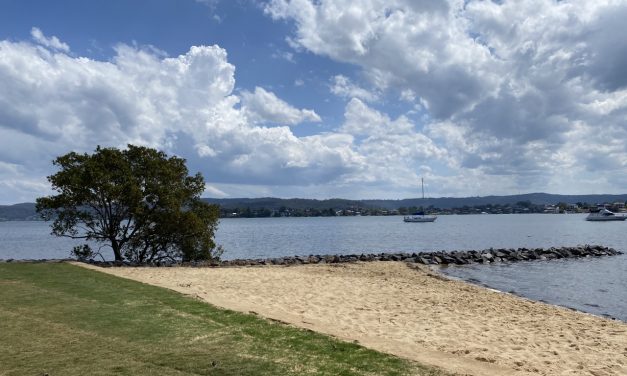 Green Point’s Foreshore Reserve is the Perfect Spot for a Family Picnic and Play