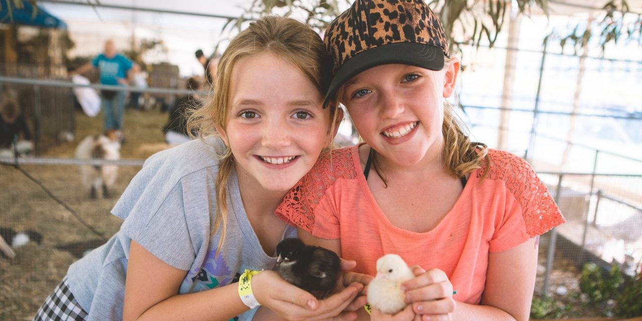 Love Easter! Discover Easter shows, egg hunts and more family fun this March long weekend!