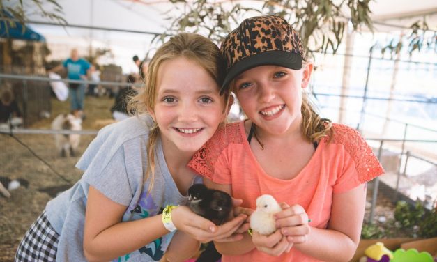 Love Easter! Discover Easter Shows, Egg Hunts and More Family Fun!