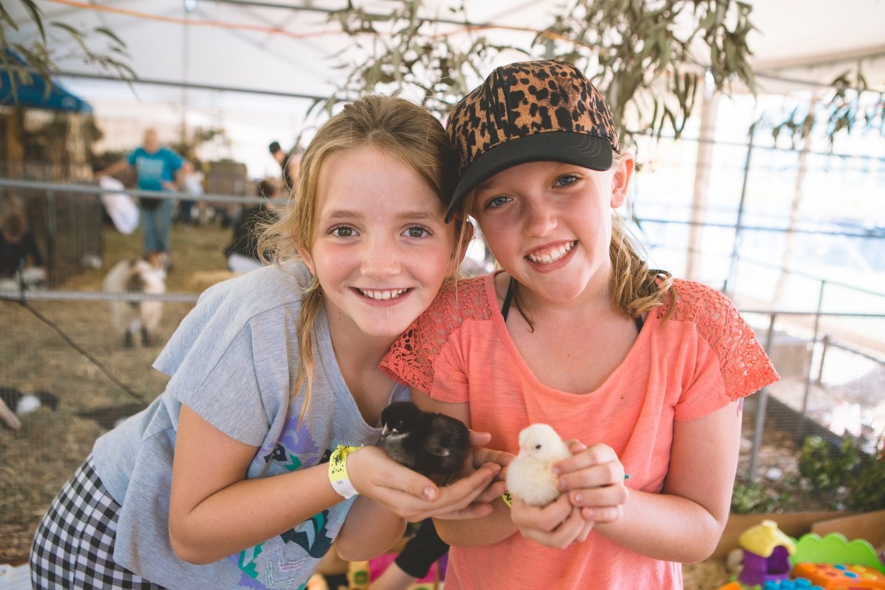 Looking for Easter fun? Discover Easter shows, egg hunts and more family fun this April long weekend and Autumn!
