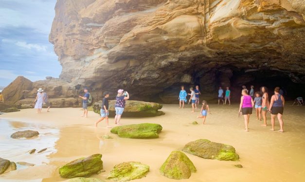 Explore the amazing network of caves lining the shore at Caves Beach!