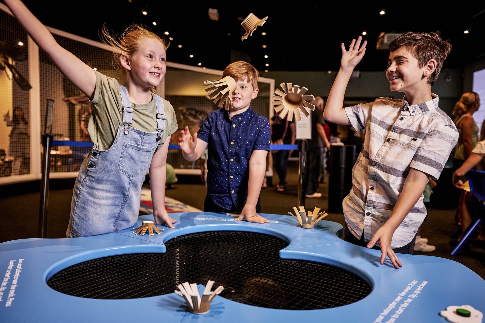 Australian Museum - Take Flight