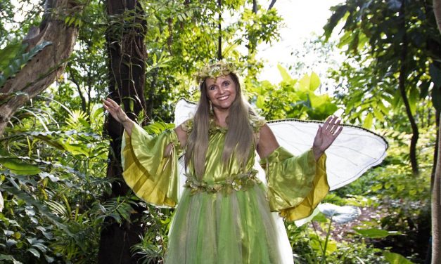 Go on a fairy adventure in the Royal Botanic Garden Sydney