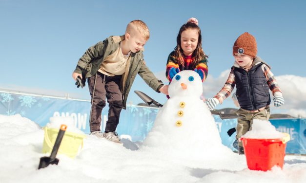 Snow Time at the Hunter Valley Gardens is Back! Book Your Tickets Now!