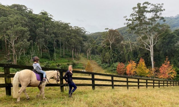 We’ve found an incredible horse-riding experience on the Coast – a place that’ll fill you with joy