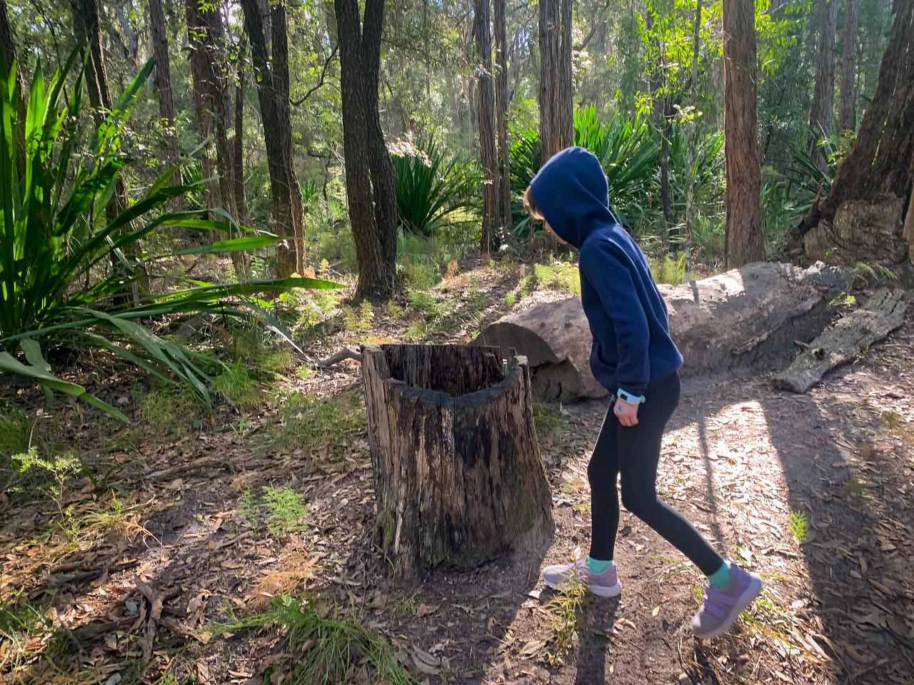 Geocaching Central Coast Kincumba Mountain Reserve