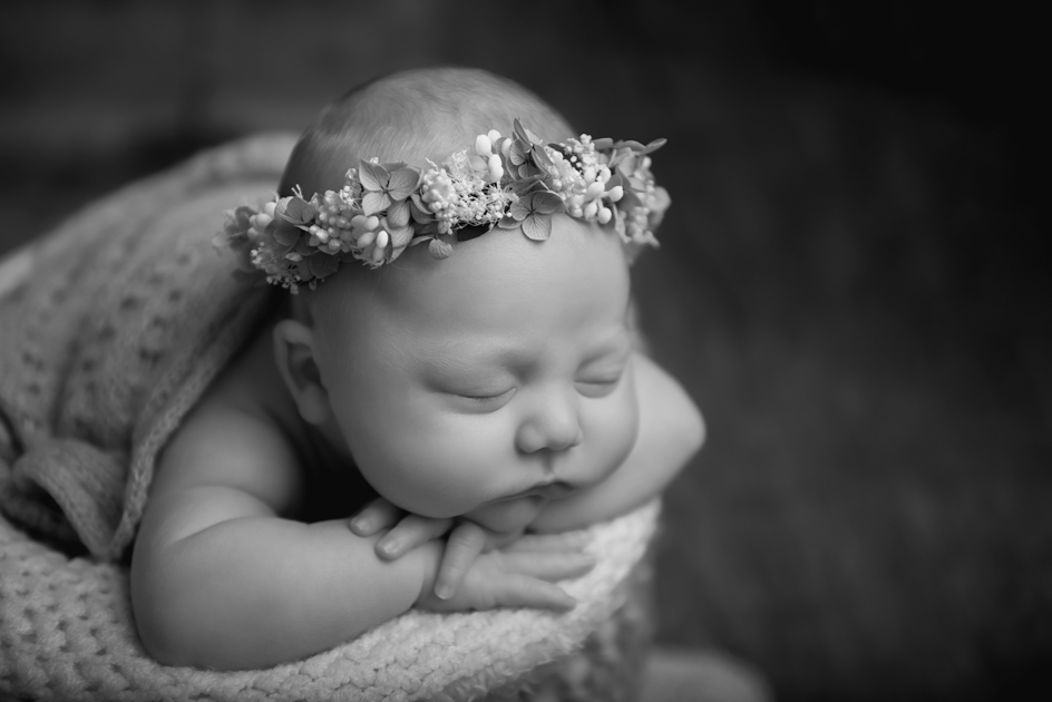 maggie smith newborn photographer