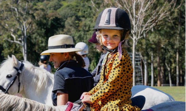 Check out this Horse Riding Program that you and your preschooler can do together!