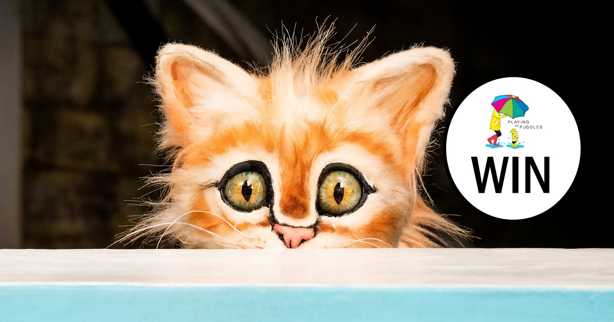 See Scaredy Cat at The Art House these School Holidays!