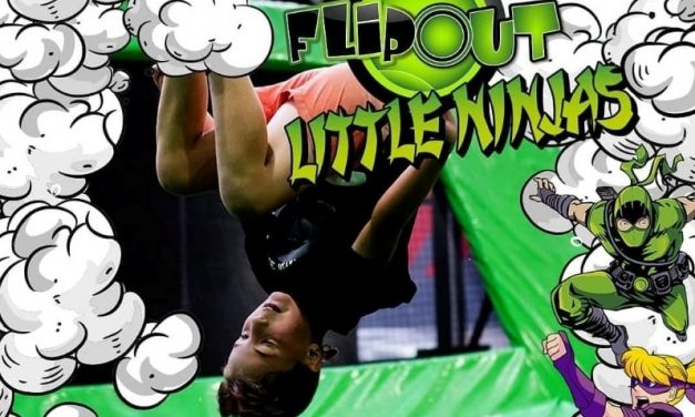 Flip like a Ninja in Term 3 at Flip Out Gosford’s Kids’ Ninja Classes!