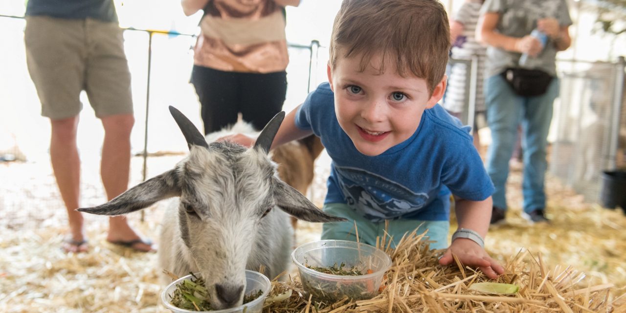 Love rides, carnival games and baby animals? Get to the Ingenia Holiday Parks Sydney Family Show this March!