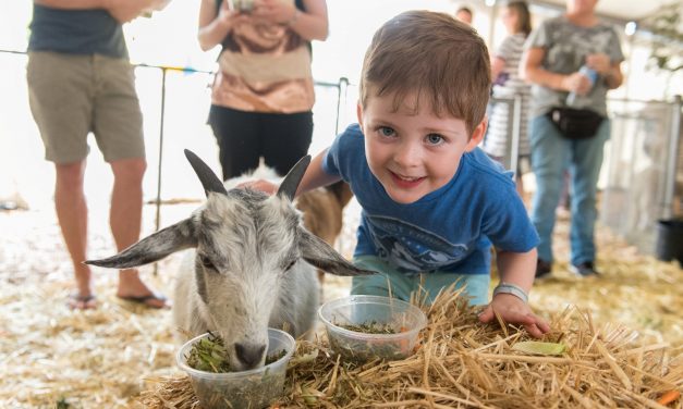 Love rides, carnival games and baby animals? Get to the Ingenia Holiday Parks Sydney Family Show this March!