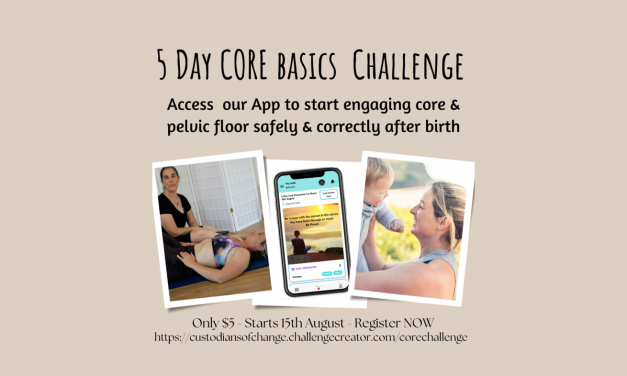 Register for the VHAB 5-Day Core Basics Challenge!