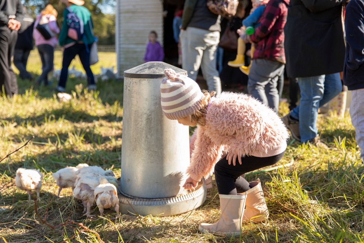 Central Coast Harvest Festival 2024 for kids Playing in Puddles