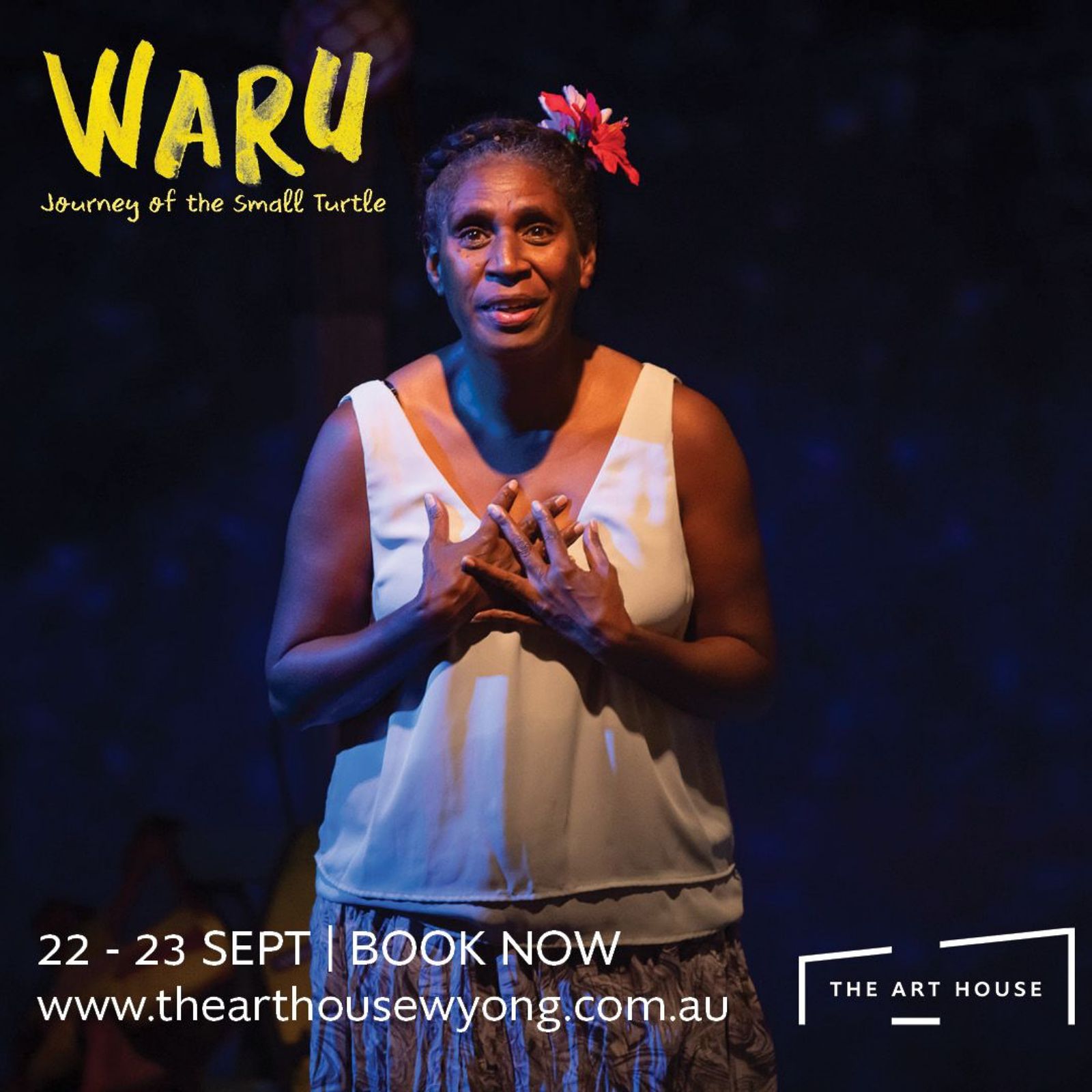 The Art House Wyong Waru - Journey of the Small Turtle