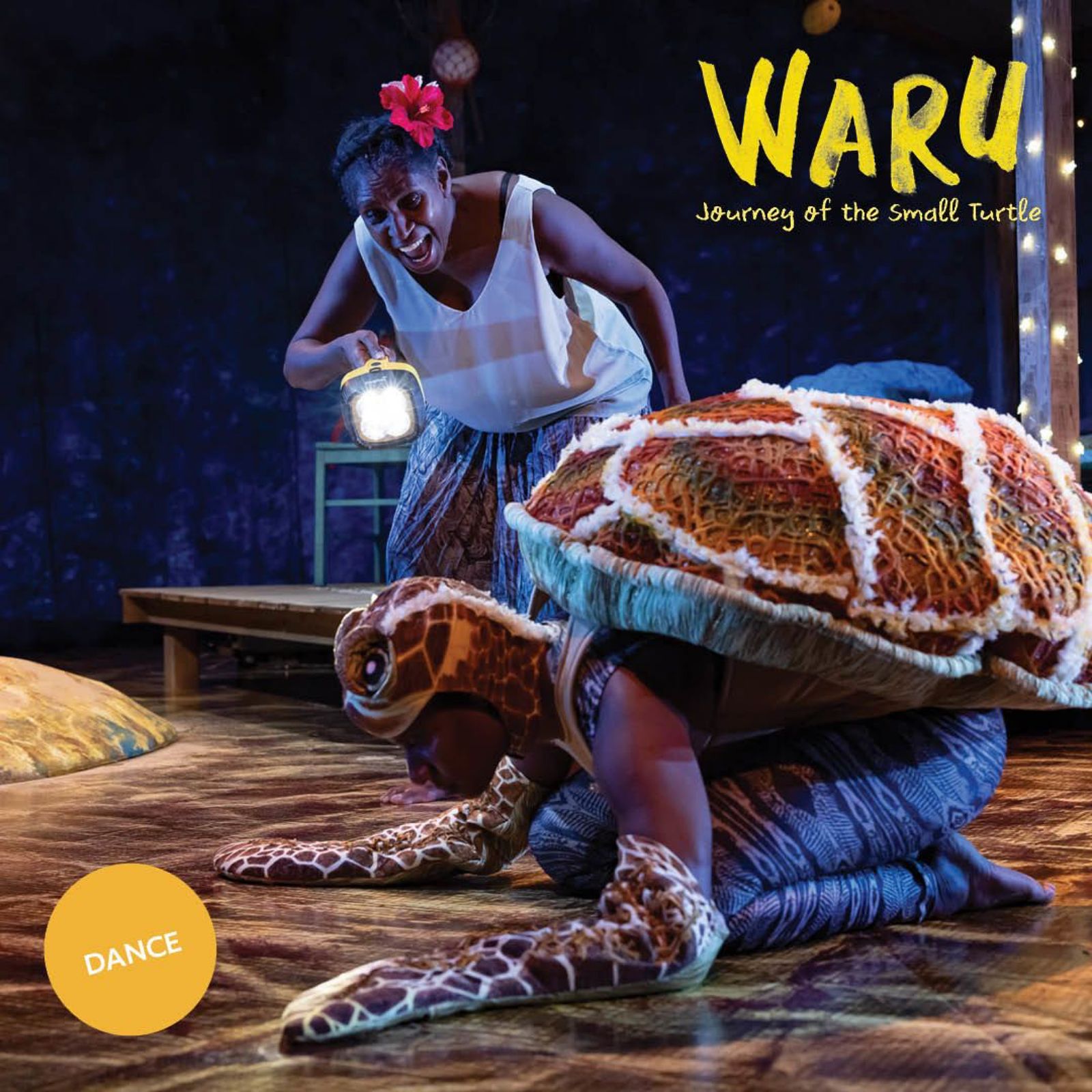 The Art House Wyong Waru - Journey of the Small Turtle