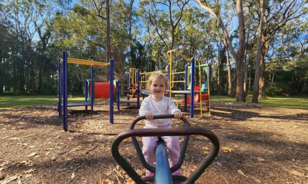 Kingfisher Reserve Playground: a Hidden Gem Nestled in the Trees!