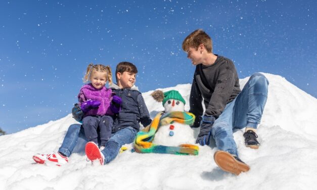 Snow way! You can toboggan, ice skate and build a snowman at Hunter Valley Gardens this Winter!
