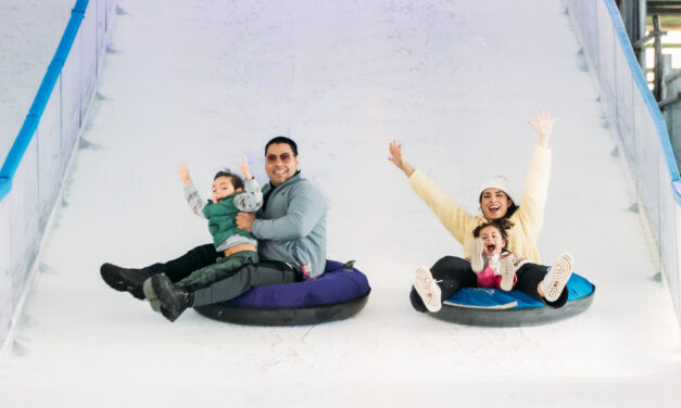 Hit the ice luge, play in the snow and skate the rink at Hunter Valley Gardens’ Snow Time festival this winter!