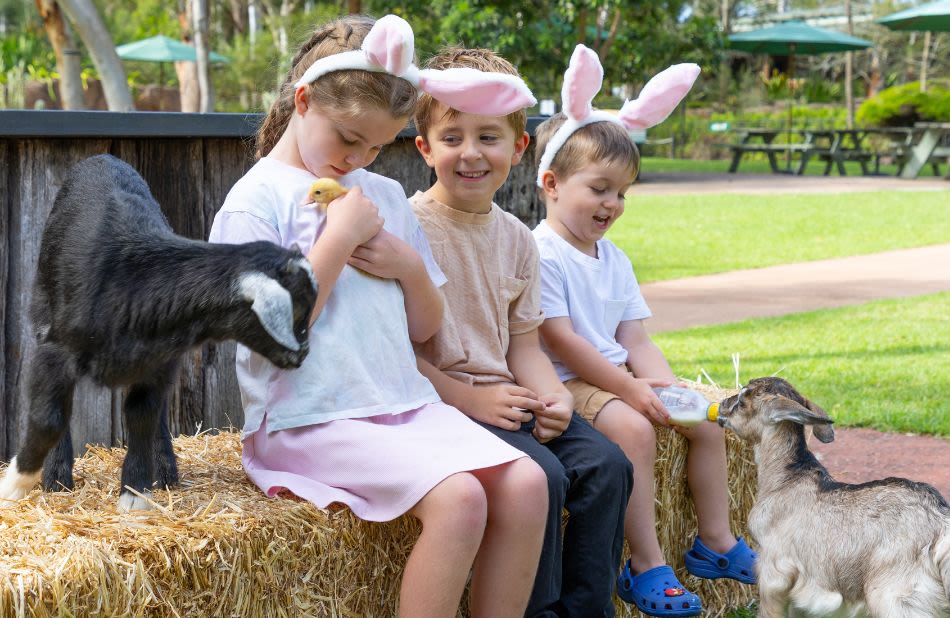 Visit Ploddy’s Easter Fair at The Australian Reptile Park these April school holidays!