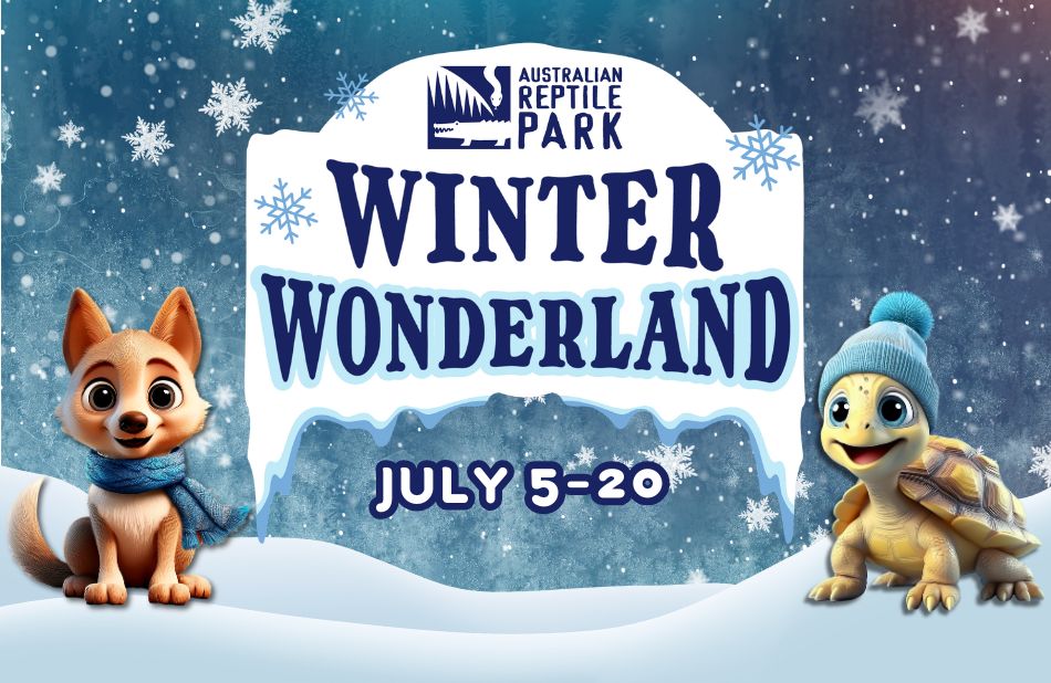 Visit the SNOW at the Australian Reptile Park these school holidays!