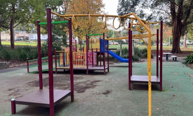Jarrett St playground in North Gosford is a shady, quiet place to play!