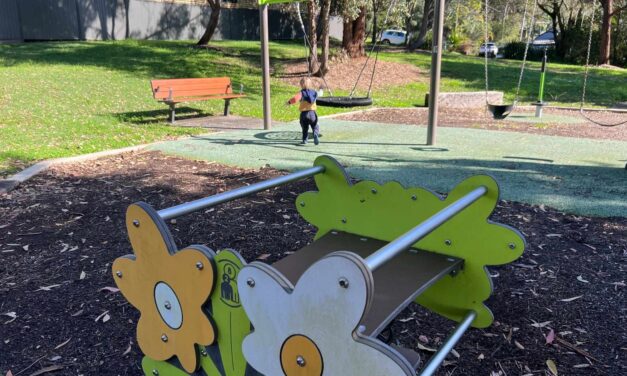 Terrigal’s Wycombe Road playground is a hidden gem tucked beneath the trees