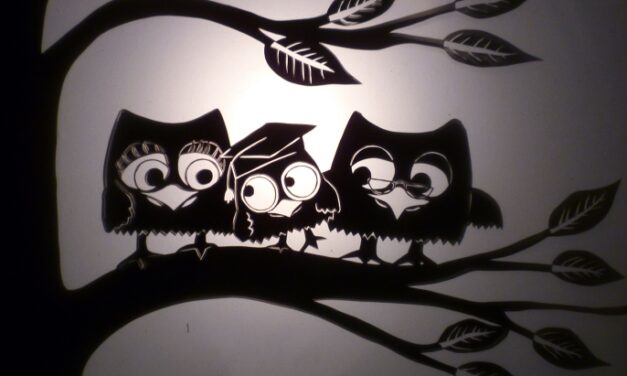 The Owl’s Apprentice – a magical puppetry adventure – is coming to Laycock in the spring holidays!